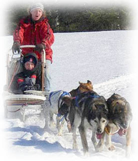 Maine Dogsledding trips rides and tours